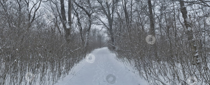 Скачать красивый зимний сельский пейзаж фотосток Ozero