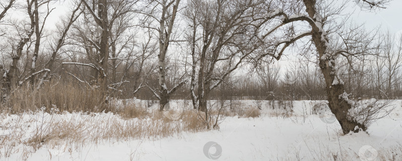 Скачать красивый зимний сельский пейзаж фотосток Ozero