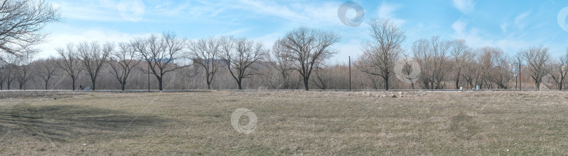 Скачать панорамный вид на парк во второй половине дня фотосток Ozero