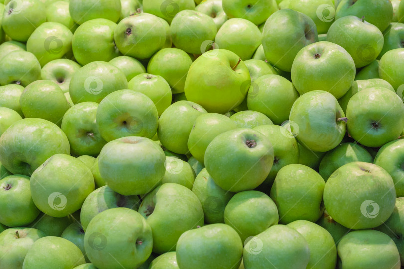 Скачать Зеленые яблоки в качестве фона, текстуры фотосток Ozero