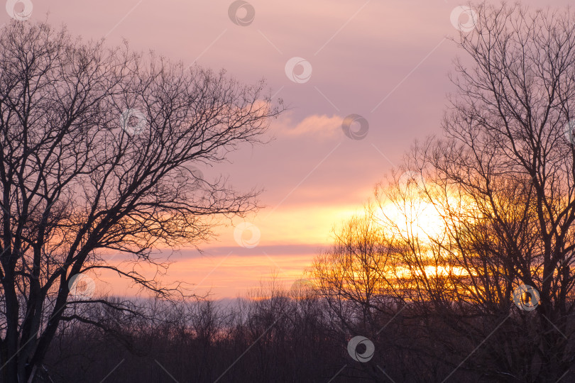 Скачать зимний пейзаж, закат, желтое солнце в облаках фотосток Ozero