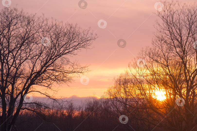 Скачать зимний пейзаж, закат, желтое солнце в облаках фотосток Ozero