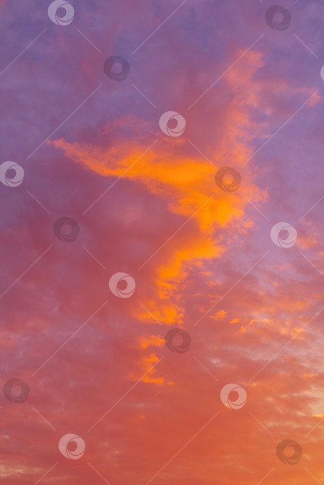 Скачать Впечатляющий вид на оранжевые облака в закатном небе (фон, тонированный) фотосток Ozero