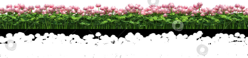 Скачать розовые цветы для использования в коллаже с альфа-каналом прозрачности фотосток Ozero
