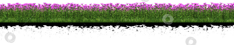 Скачать фиолетовые цветы для использования в коллаже с альфа-каналом прозрачности фотосток Ozero