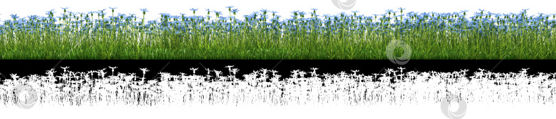 Скачать синие цветы для использования в коллаже с альфа-каналом прозрачности фотосток Ozero