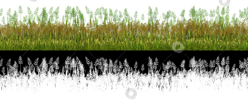 Скачать зеленая трава для использования в коллажах с альфа-каналом прозрачности фотосток Ozero