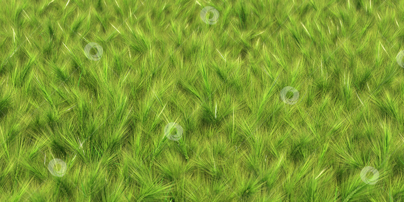 Скачать сплошной ковер зеленой травы крупным планом фотосток Ozero