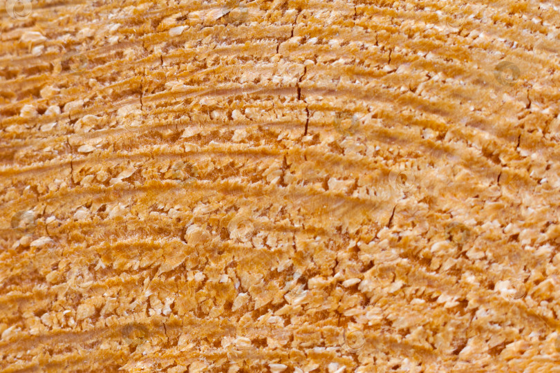 Скачать Крупный план натуральной текстуры древесины (макро, абстракция) фотосток Ozero