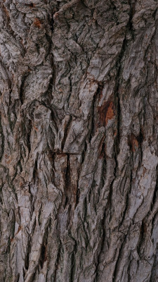 [object Object] undefined