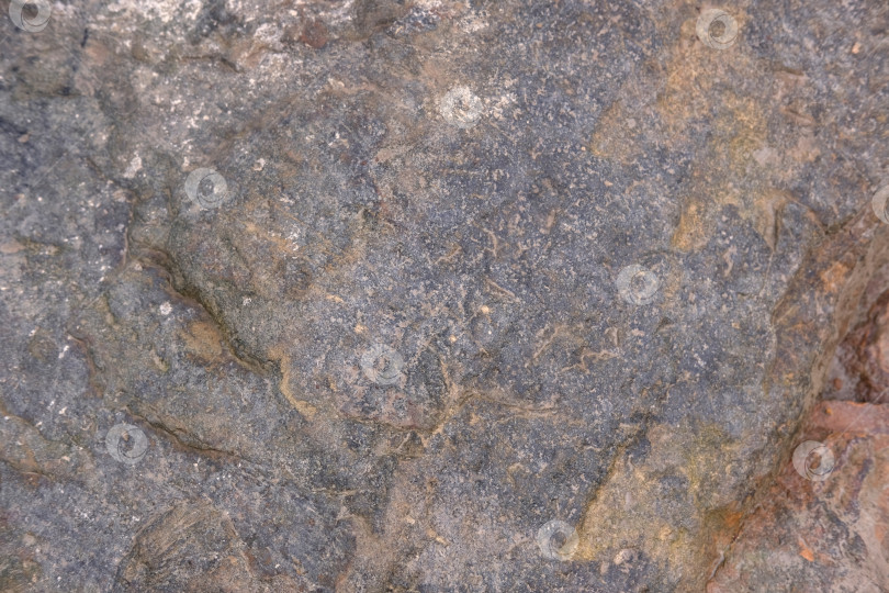 Скачать текстура мокрого камня или скальной породы фотосток Ozero