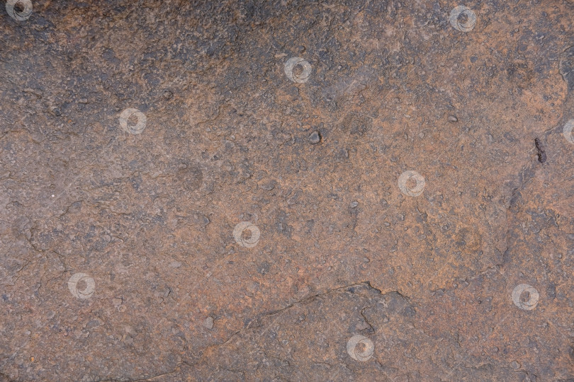 Скачать текстура мокрого камня или скальной породы фотосток Ozero
