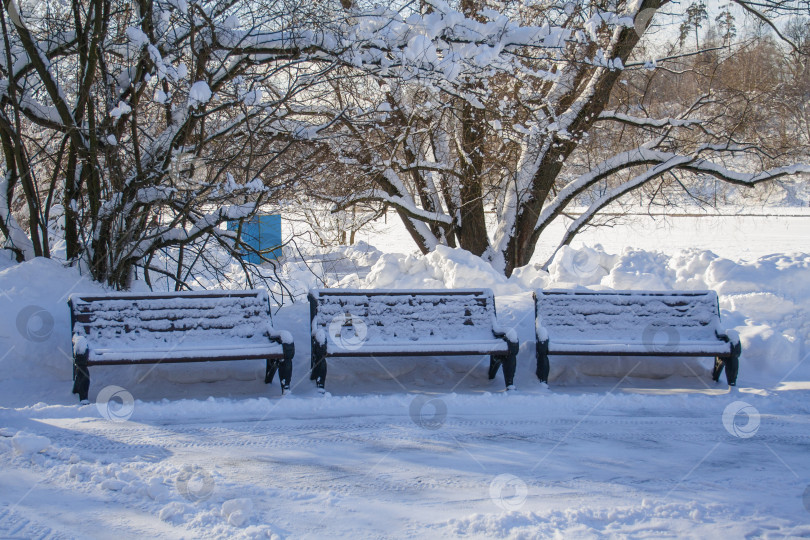 Скачать Три деревянные заснеженные скамейки с коваными ножками в парке на фоне зимнего леса фотосток Ozero