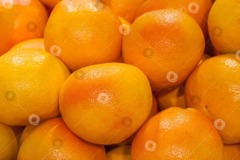 Скачать Крупный план горки грейпфрутов в магазине в качестве фона, текстура фотосток Ozero