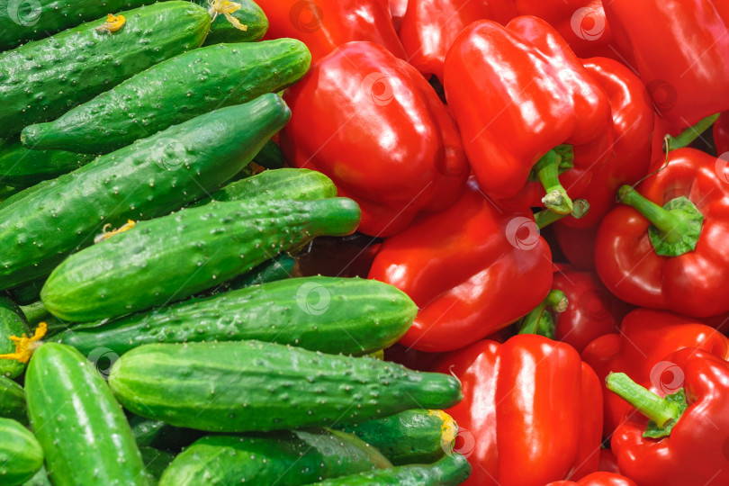 Скачать Овощи на прилавке в супермаркете: горка огурцов и красного болгарского перца в качестве фона, текстура фотосток Ozero