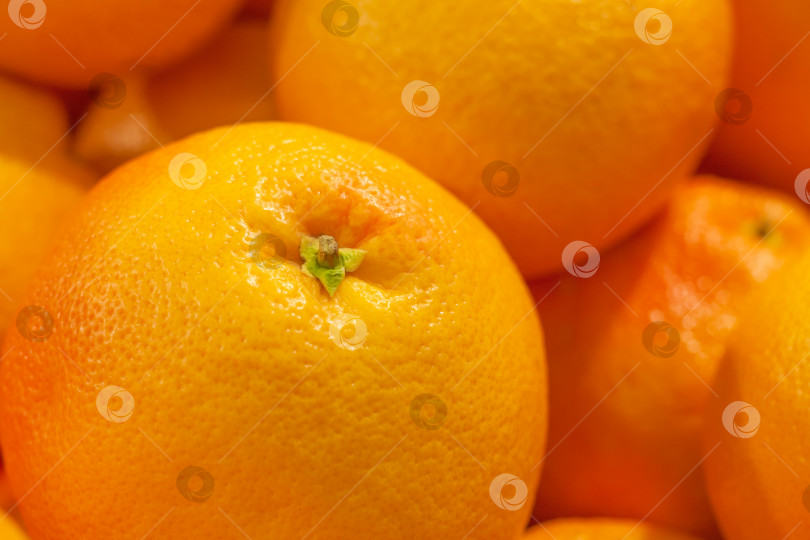 Скачать Крупный план горки апельсиновых клементинов или миннеолы танжело (задний план) фотосток Ozero