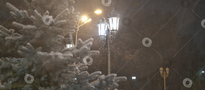 Скачать уличный фонарь зимой ночью во время сильного снегопада на фоне хвойных деревьев фотосток Ozero