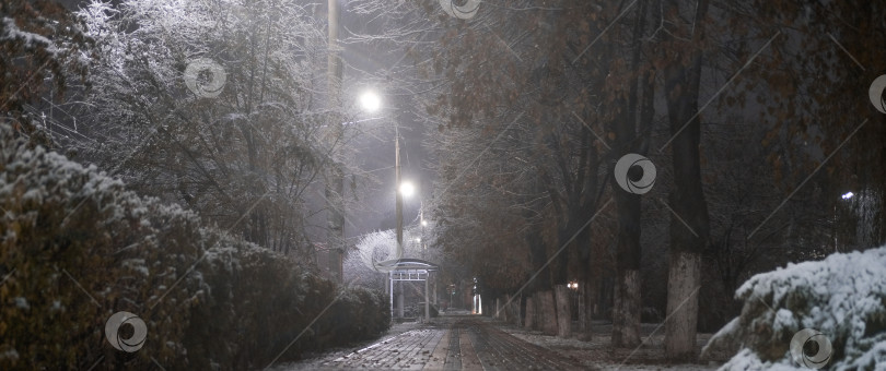 Скачать красивый зимний парк ночью во время сильного снегопада фотосток Ozero