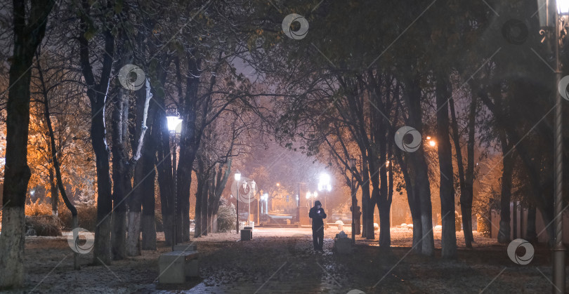 Скачать красивый зимний парк ночью во время сильного снегопада фотосток Ozero