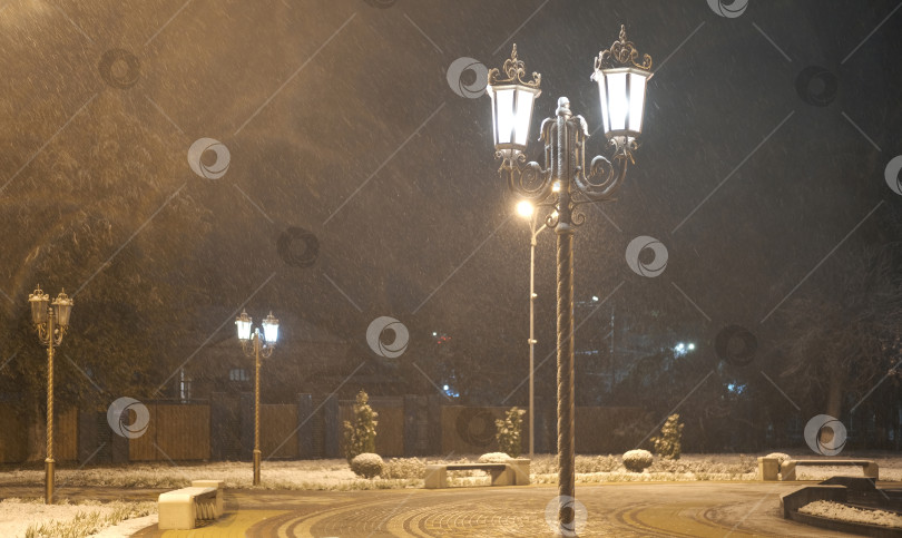 Скачать красивый зимний парк ночью во время сильного снегопада фотосток Ozero