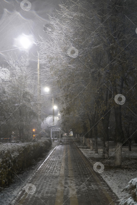 Скачать красивый зимний парк ночью во время сильного снегопада фотосток Ozero