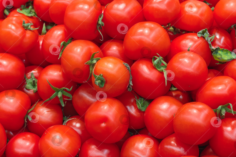 Скачать Горка красных помидоров в качестве фона, текстура фотосток Ozero