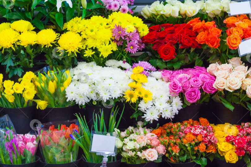 Скачать Ряды разноцветных букетов в цветочном магазине фотосток Ozero