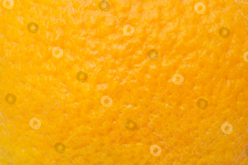 Скачать Яркая апельсиновая корка в качестве фона, текстура фотосток Ozero