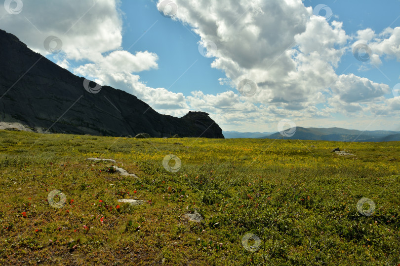 Скачать Ровный луг, заросший невысокой травой, тянется вдоль высокого горного хребта под летним облачным небом. фотосток Ozero