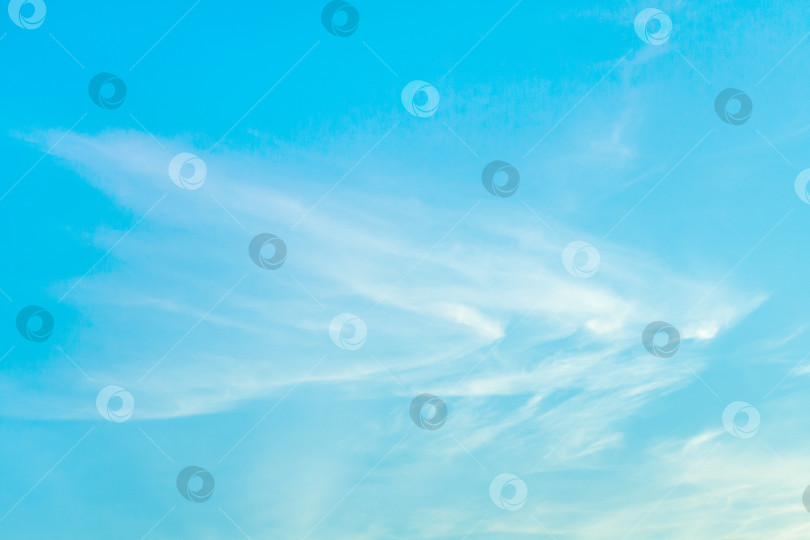 Скачать Белые перистые облака на ярко-бирюзовом небе (задний план) фотосток Ozero