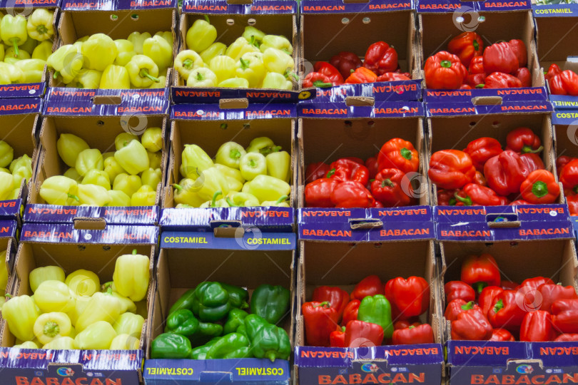 Скачать Москва, Россия, май 2018 г.: Зеленый, желтый и красный болгарский перец в картонных коробках в супермаркете (редакционная статья) фотосток Ozero