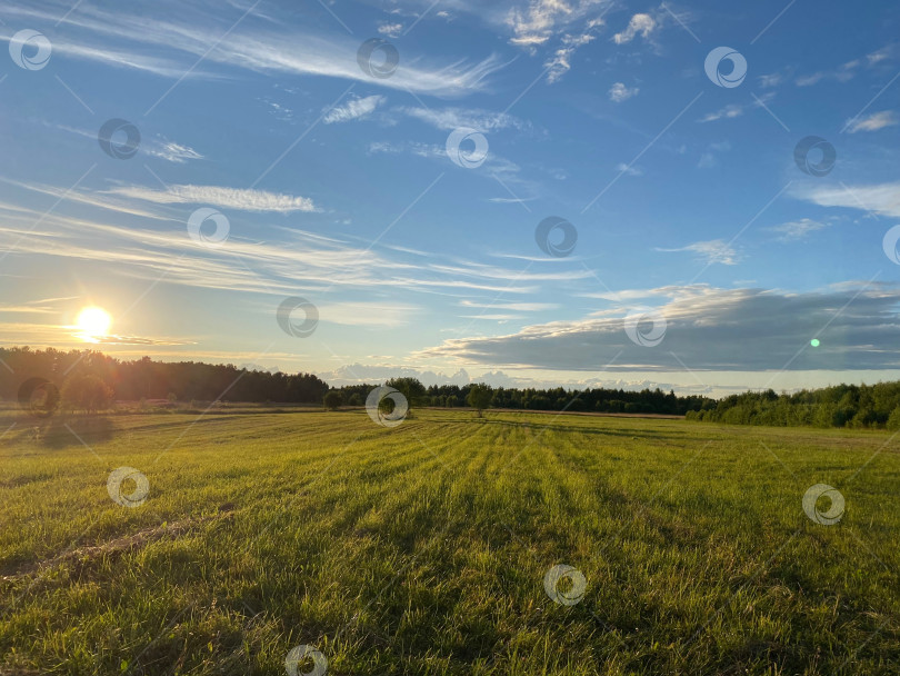 Скачать Летний закат фотосток Ozero