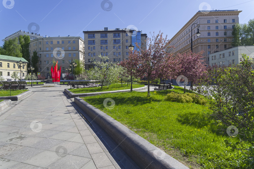 Скачать Цветущие яблони на Хитровской площади. Москва. фотосток Ozero