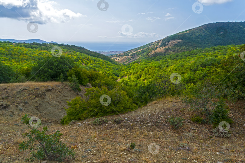 Скачать Вид со склона хребта Токлук на море. Крым. фотосток Ozero