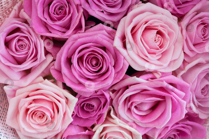 Скачать Букет роз в качестве фона, текстура фотосток Ozero