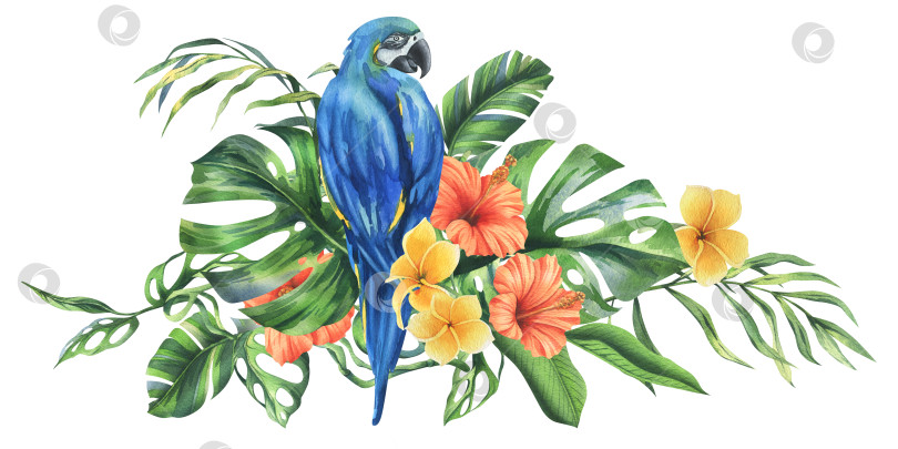 Скачать Тропические пальмовые листья, монстера и цветы плюмерии, гибискус, ярко-сочный сине-желтый попугай ара. Ботаническая иллюстрация, выполненная вручную акварелью. Композиция, выделяющаяся на фоне фотосток Ozero
