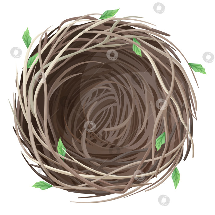 Скачать Пустое птичье гнездо на белом фоне. Весенняя иллюстрация для декора, дизайна. Весеннее время фотосток Ozero