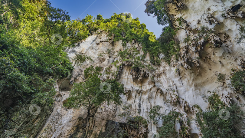 Скачать Отвесные известняковые скалы с зеленой тропической растительностью и свисающими сталактитами фотосток Ozero