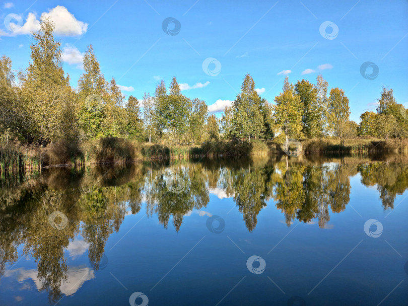 Скачать Осенний пейзаж, вид на озеро в Ленинградской области фотосток Ozero