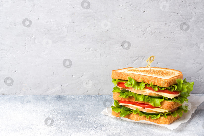 Скачать Вкусные и свежие бутерброды на светло-сером столе. Скопируйте место. фотосток Ozero