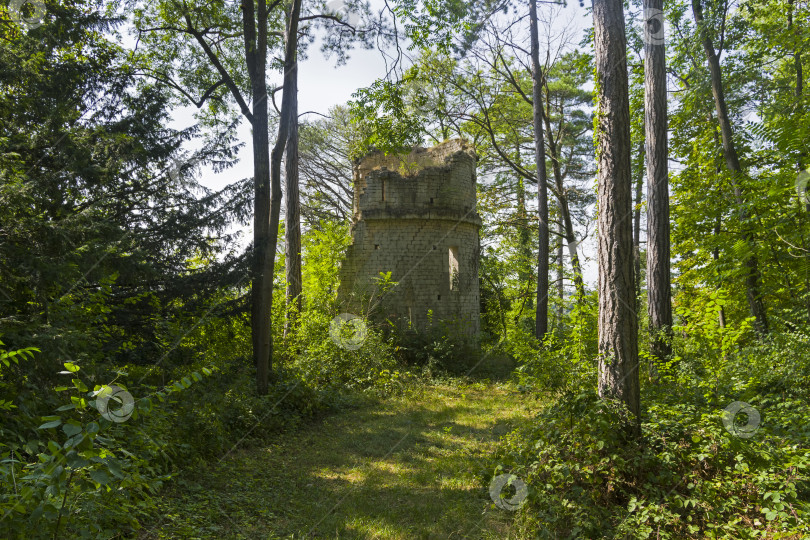 Скачать Разрушенная башня в лесу. фотосток Ozero