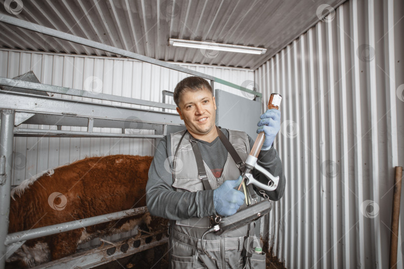 Скачать ветеринарный специалист готов провести вакцинацию крупного рогатого скота, что является превентивной мерой для защиты и поддержания здоровья домашнего скота в сельскохозяйственных условиях фотосток Ozero