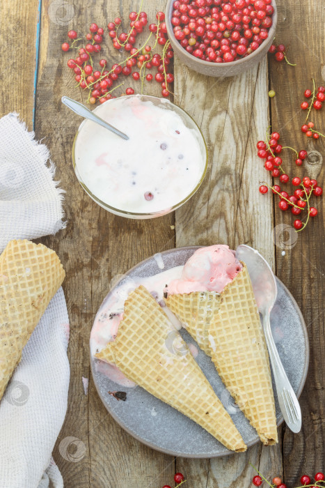Скачать Домашнее мороженое с красной смородиной в вафельном рожке в летний день. Свежие ягоды фотосток Ozero