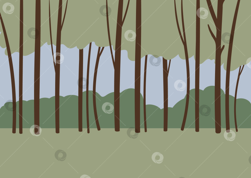Скачать Иллюстрация леса. Мирный пейзаж с оливково-зеленой землей, высокими коричневыми стволами деревьев, зеленым подлеском, холмистыми формами и проблеском голубого неба. Атмосфера леса. Плоская векторная иллюстрация. фотосток Ozero