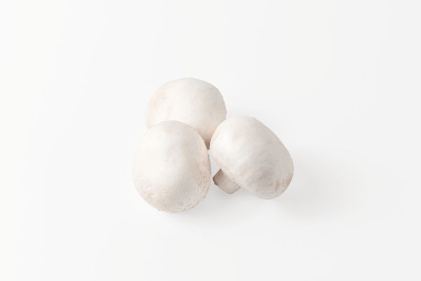 [object Object] undefined