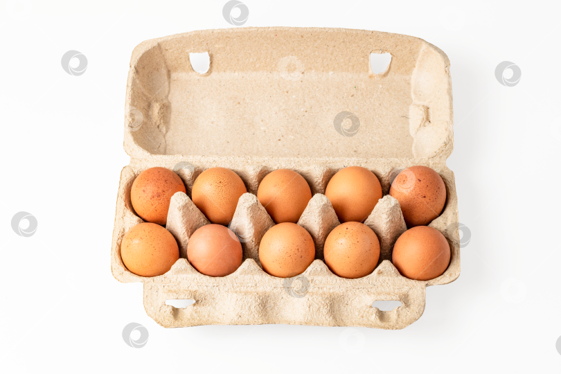 Скачать яйца в коробке фотосток Ozero