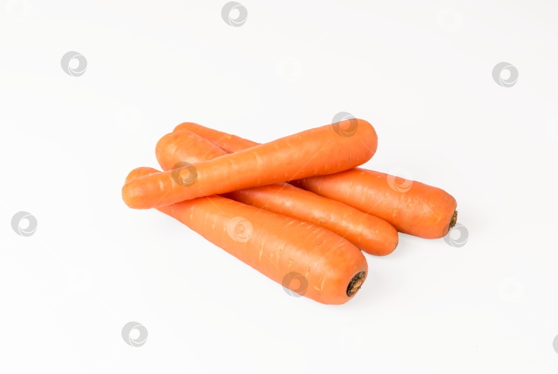 Скачать несколько морковок на изолированном фоне фотосток Ozero