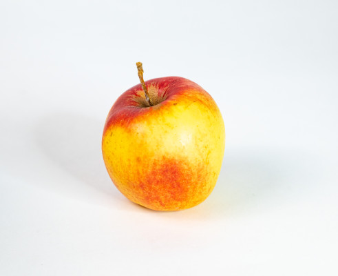 [object Object] undefined
