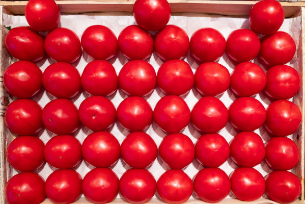 [object Object] undefined