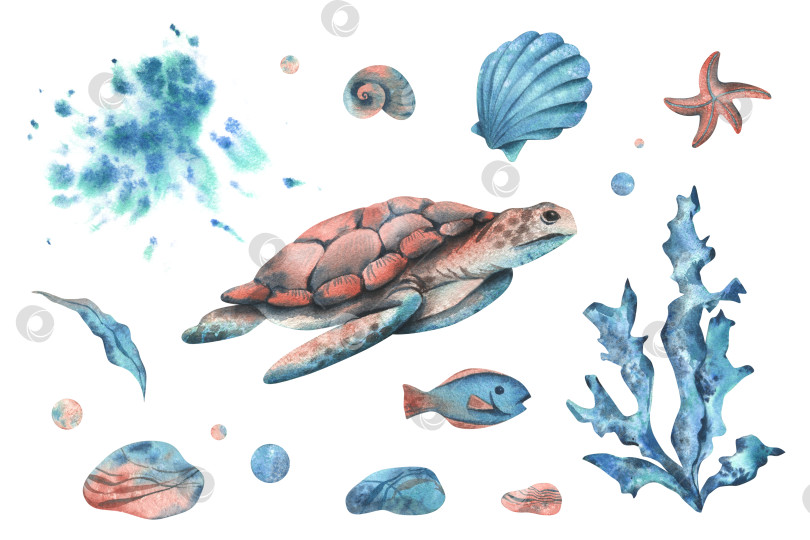 Скачать Черепахи, ракушки, морские звезды, рыбки, пузырьки, галька и другие морские животные и растения. Акварельная иллюстрация, выполненная вручную в бирюзовых, синих и коралловых тонах. Набор элементов, выделенных на фоне. фотосток Ozero